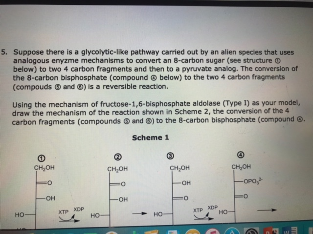Question: 5. Suppose there is a glycolytic-like pathway carried out by an alien species that uses analogous...