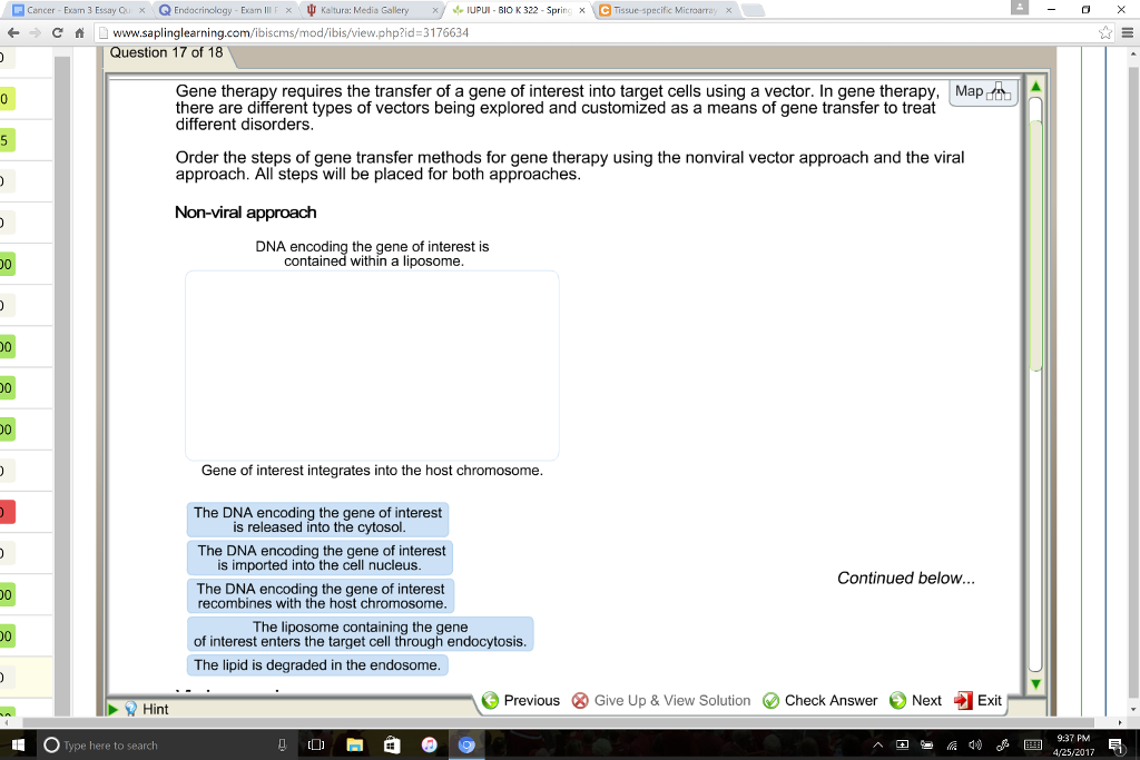 Gene therapy essay