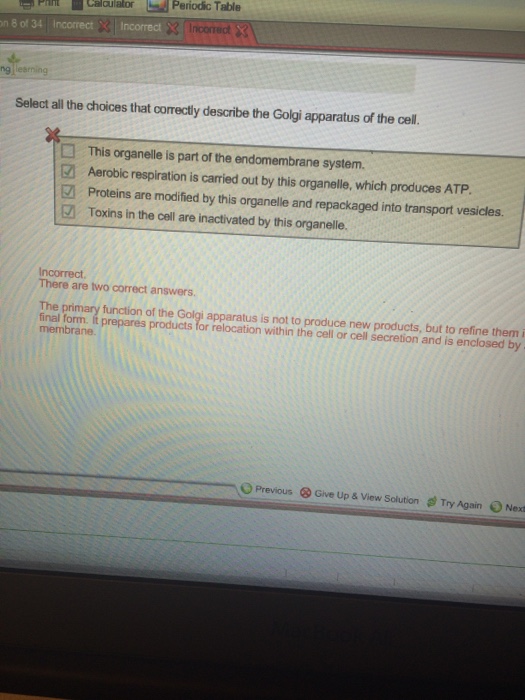 Question: Select all the choices that correctly describe the Golgi apparatus of the cell.