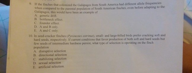 Question: If the finches that colonized the Galapagos from South America had different allele frequencies w...