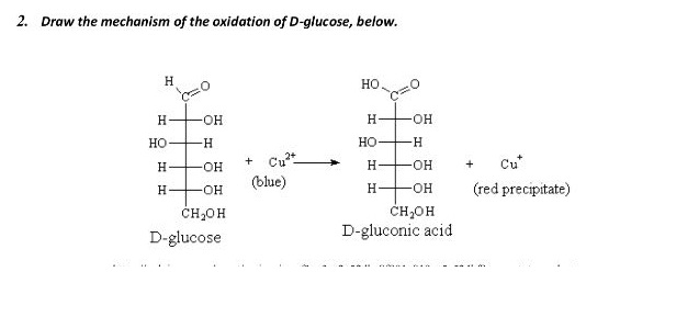 Solved Draw The Mechanism Of The Oxidation Of D glucose Chegg