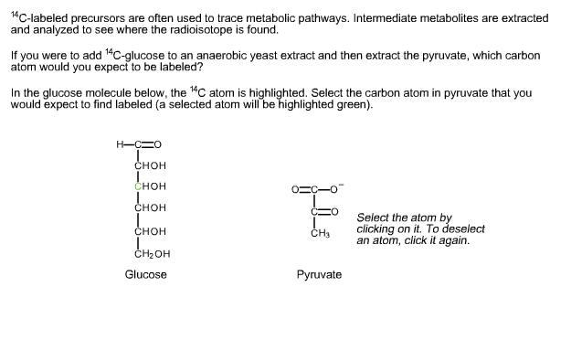 Solved 14C Labeled Precursors Are Often Used To Trace Met Chegg