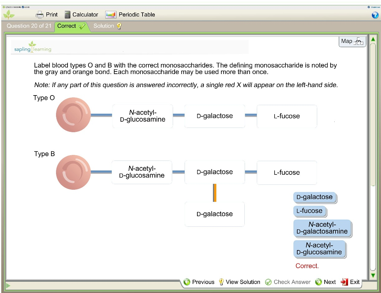Solved Label Blood Types O And B With The Correct Monosac...