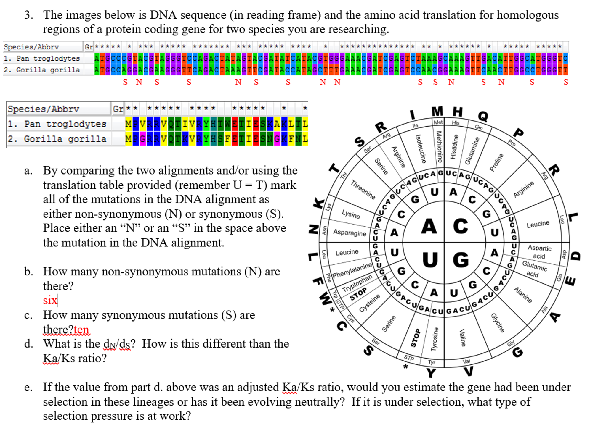 compare two gene sequences
