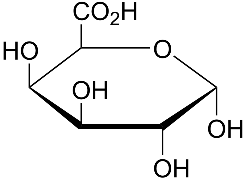 Solved Pectin Is Dominated By A Polysaccharide Called Pol...