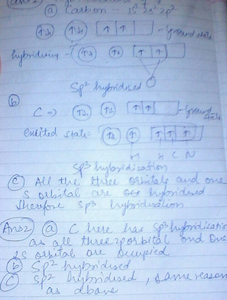 Solved Homework What Kind Of Hybridization Do You Expect For Each