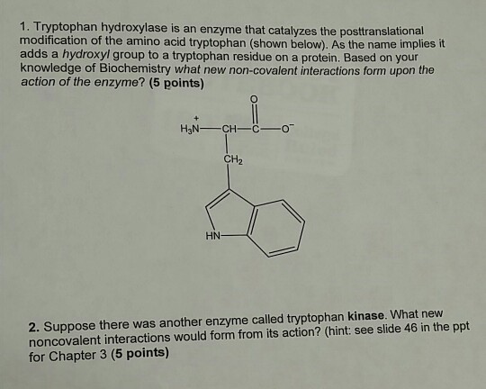 Solved Tryptophan Hydroxylase Is An Enzyme That Catalyzes Chegg