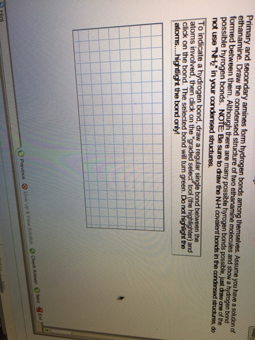 Solved Primary And Secondary Amines Form Hydrogen Bonds Chegg