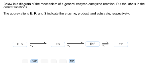 Solved Below Is A Diagram Of The Mechanism Of A General Chegg