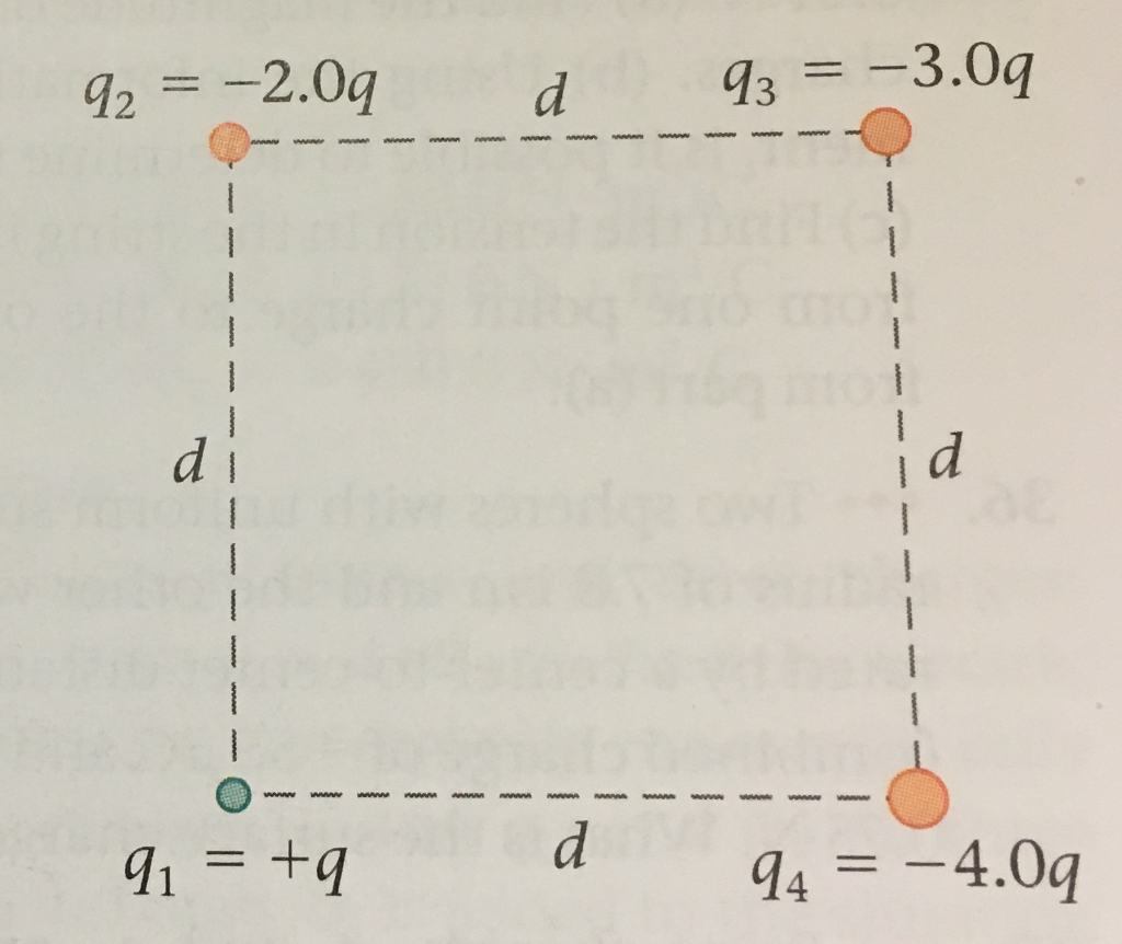 Solved Find The Direction And Magnitude Of The Net Chegg