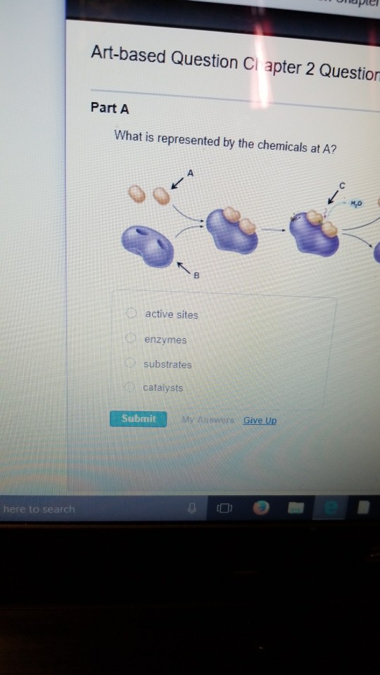 Solved What Is Represented By The Chemicals At A Active Chegg