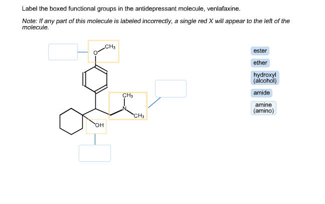 Show transcribed image text Label the boxed functional groups in the 