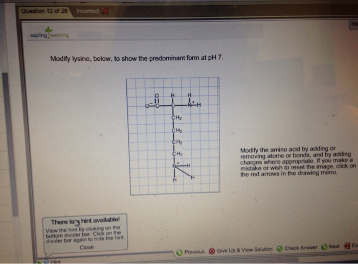 solved-question-12-of-28-ma-sapling-modify-lysine-below-chegg