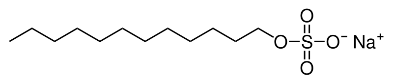 Detergents Are Amphipathic Molecules Called Surfac Chegg