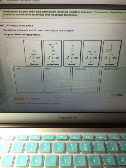 Solved The Structure Of The Amino Acid R Group Determines...
