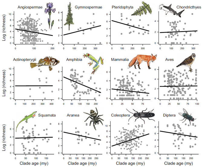 Solved One Difficulty In Estimating Species Richness Is That Chegg