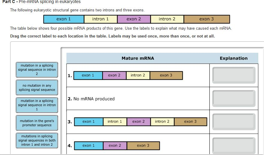 What is mRNA splicing?