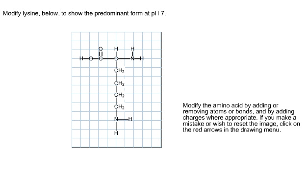 modify-lysine-to-show-the-predominant-form-at-ph-7-form-udlvirtual