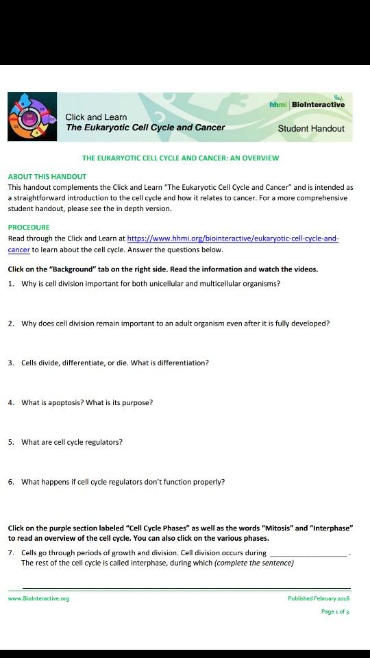 The Eukaryotic Cell Cycle And Cancer In Depth Worksheet Answer Key