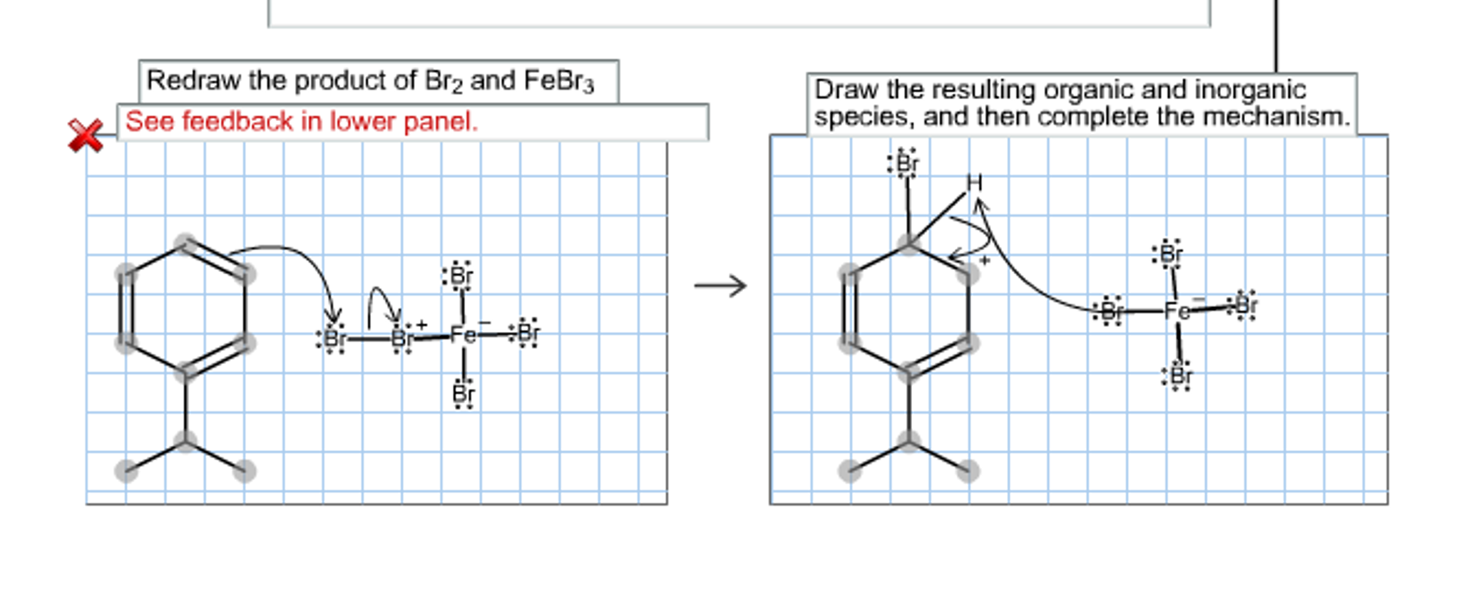 Solved The Electrophilic Aromatic Substitution Of Chegg