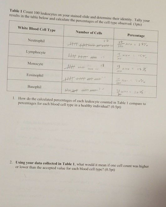 Solved Table 1 Count 100 Leukocytes On Your Stained Slide Chegg