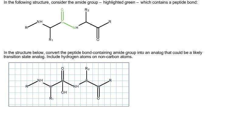 Solved In The Following Structure Consider The Amide Group Chegg