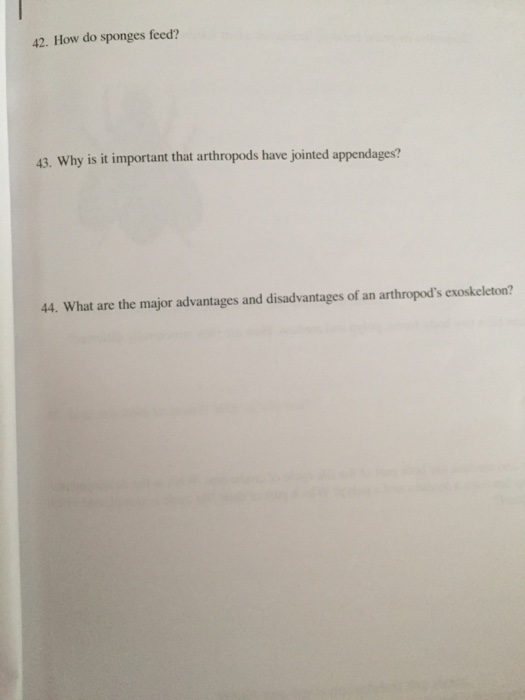 Solved Answer The Following Questions In The Space Provided Chegg