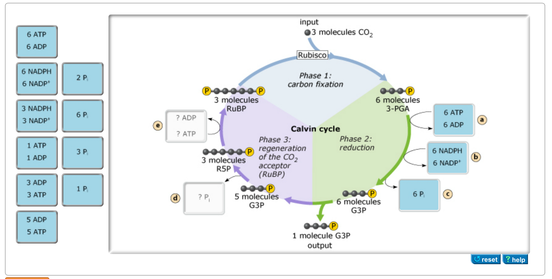 solved-the-calvin-cycle-depends-on-inputs-of-chemical-ene-chegg