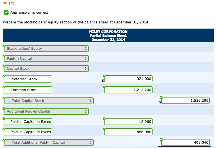 Partial Balance Sheet Wiley Plus Example Format For Class 12th Sheet Balance Canariasgestalt 1083