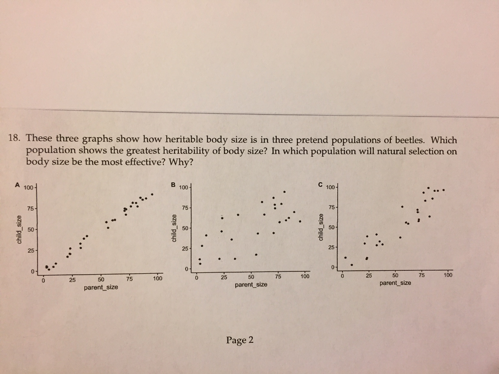 Solved 18 These Three Graphs Show How Heritable Body Size Chegg