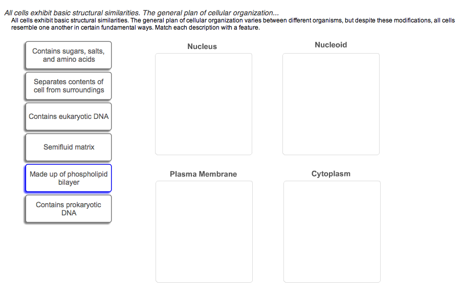 Solved All Cells Exhibit Basic Structural Similarities The Chegg