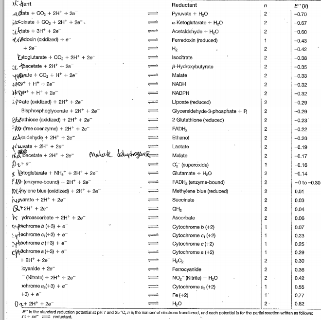Solved OXIDATIVE PHOSPHORYLATION. 1. From E Values In Tab...