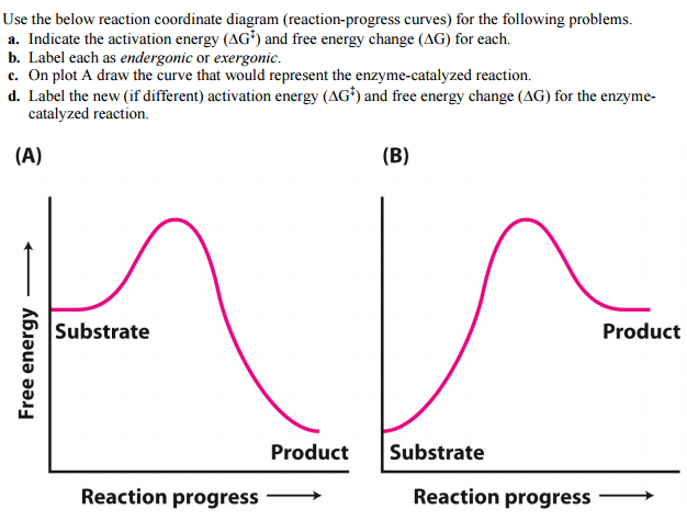 Label This Diagram Energy Reaction Progress Pasqualefifi