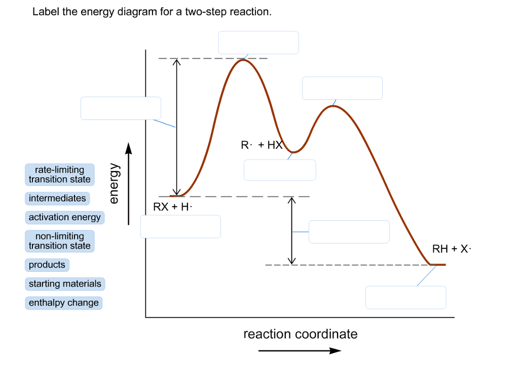 Solved Label The Energy Diagram For A Two Step Reaction Chegg Com