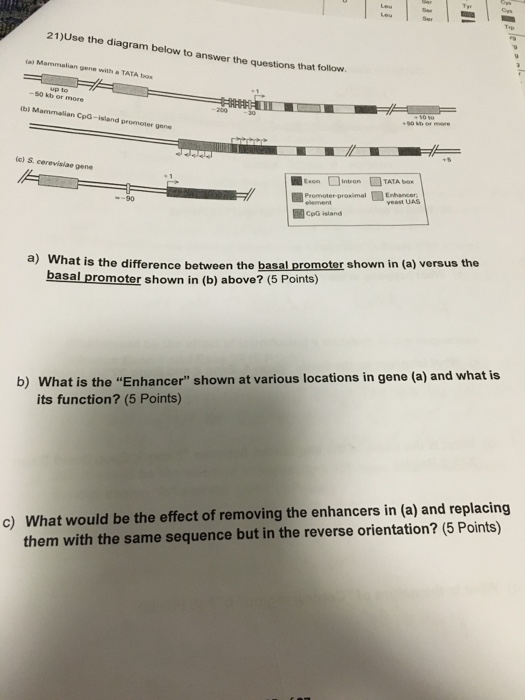 Use The Diagram Below To Answer The Questions That Chegg