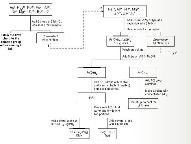 qualitative analysis of cations flow chart