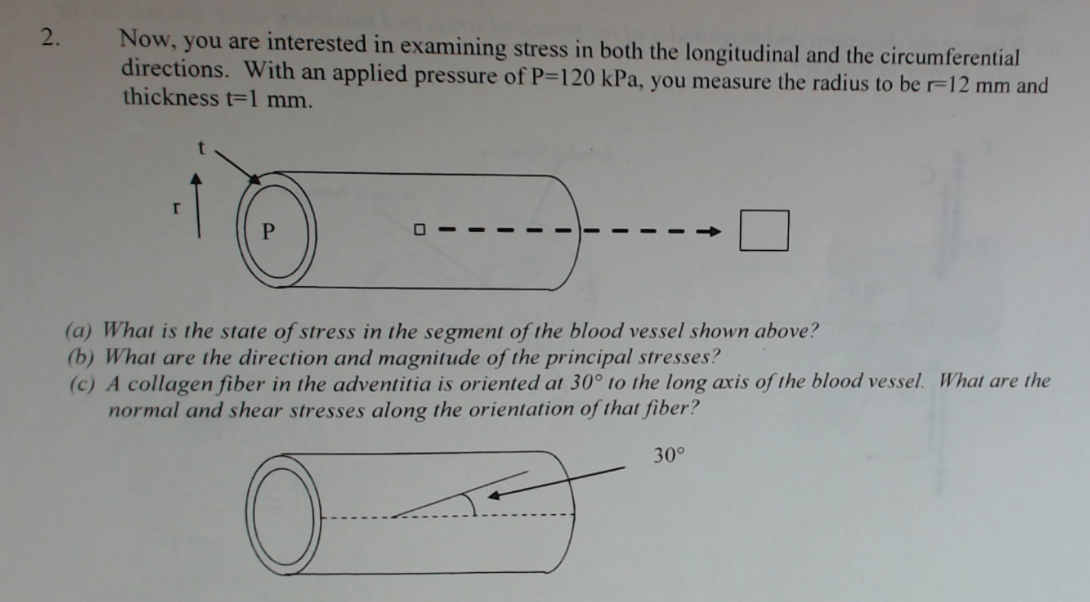 Solved Now You Are Interested In Examining Stress In Both Chegg