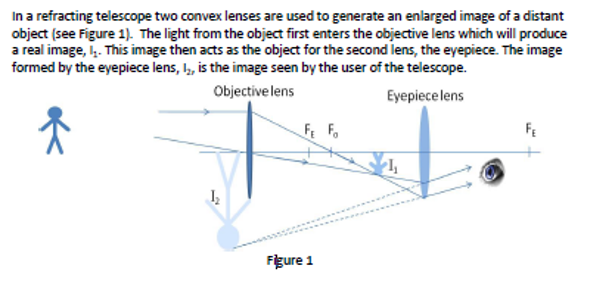 Solved Let M Be The Magnification. What Best Describes Th...