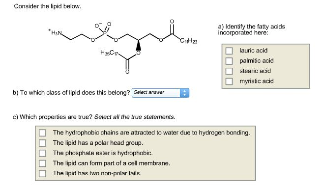 Solved Consider The Lipid Below A Identify The Fatty Acids Chegg