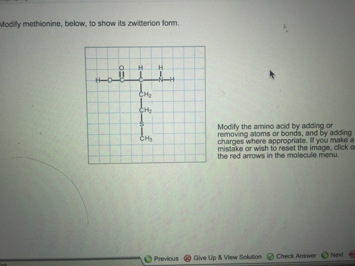 modify-methionine-to-show-its-zwitterion-form