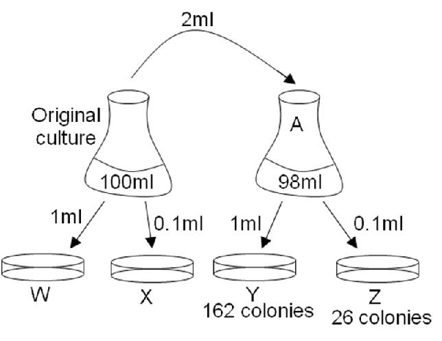 Solved What Is The Cfu Ml Of The Original Culture Chegg