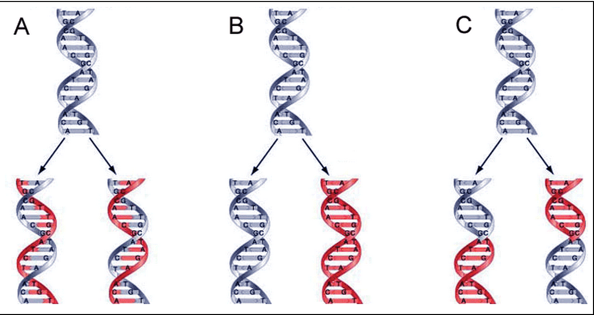 solved-this-image-depicts-the-three-alternative-models-fo-chegg