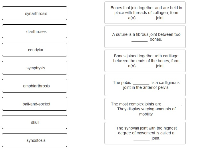 how to write a comparative and contrast essay