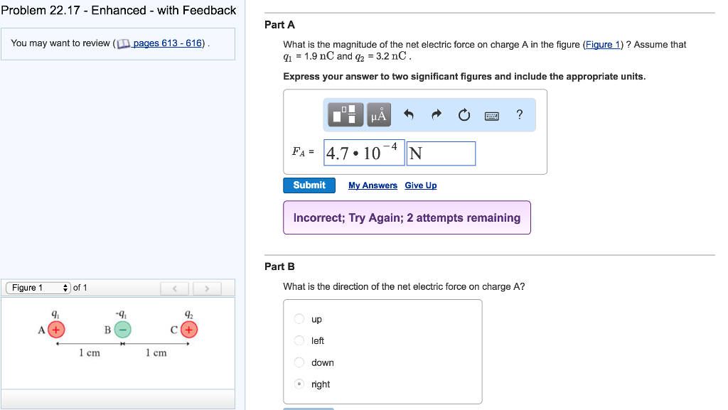 Solved What Is The Magnitude Of The Net Electric Force On Chegg