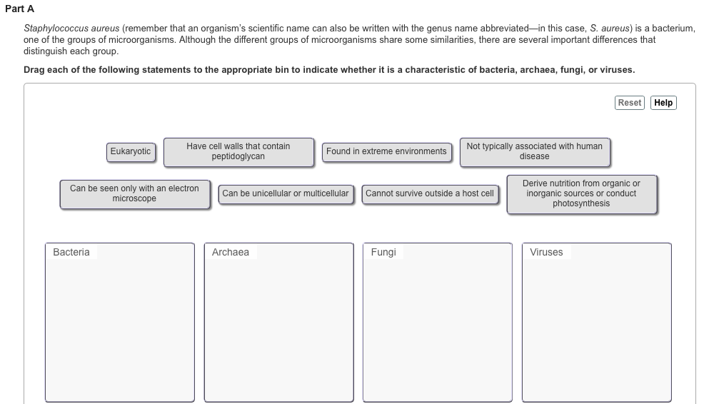 Solved Staphylococcus Aureus Remember That An Organisms Chegg