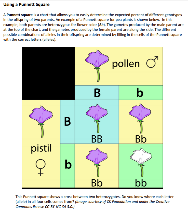 Heterozygous Example