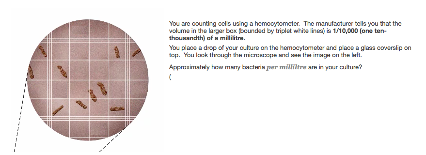 Solved You Are Counting Cells Using A Hemocytometer The Chegg Hot Sex Picture