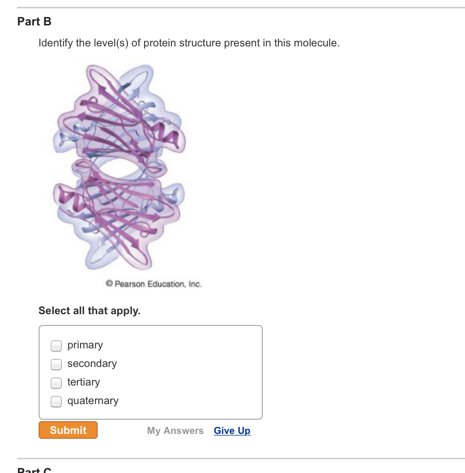 Identify The Level(s) Of Protein Structure Present...