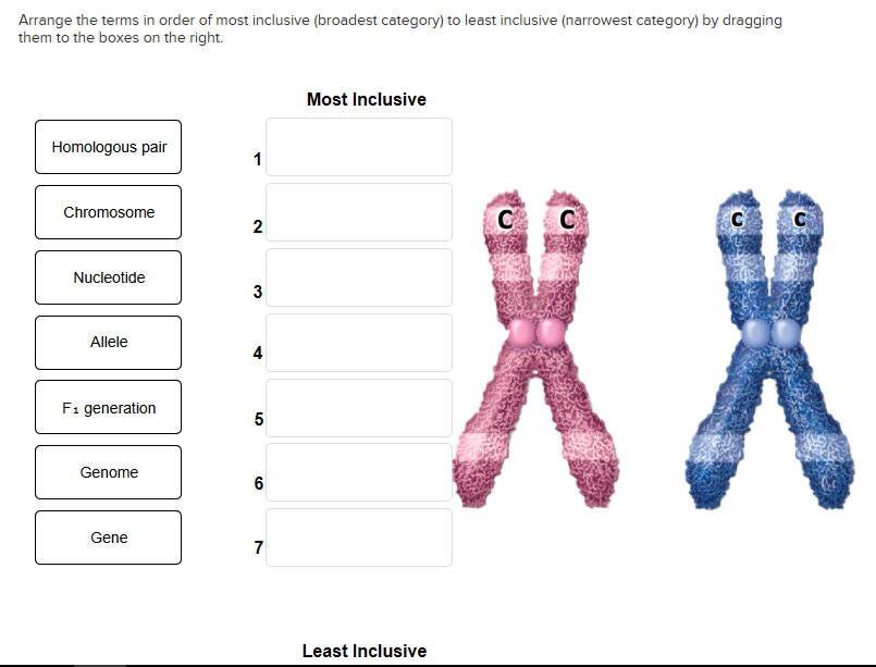 Solved: Arrange The Terms In Order Of Most Inclusive (broa... | Chegg.com