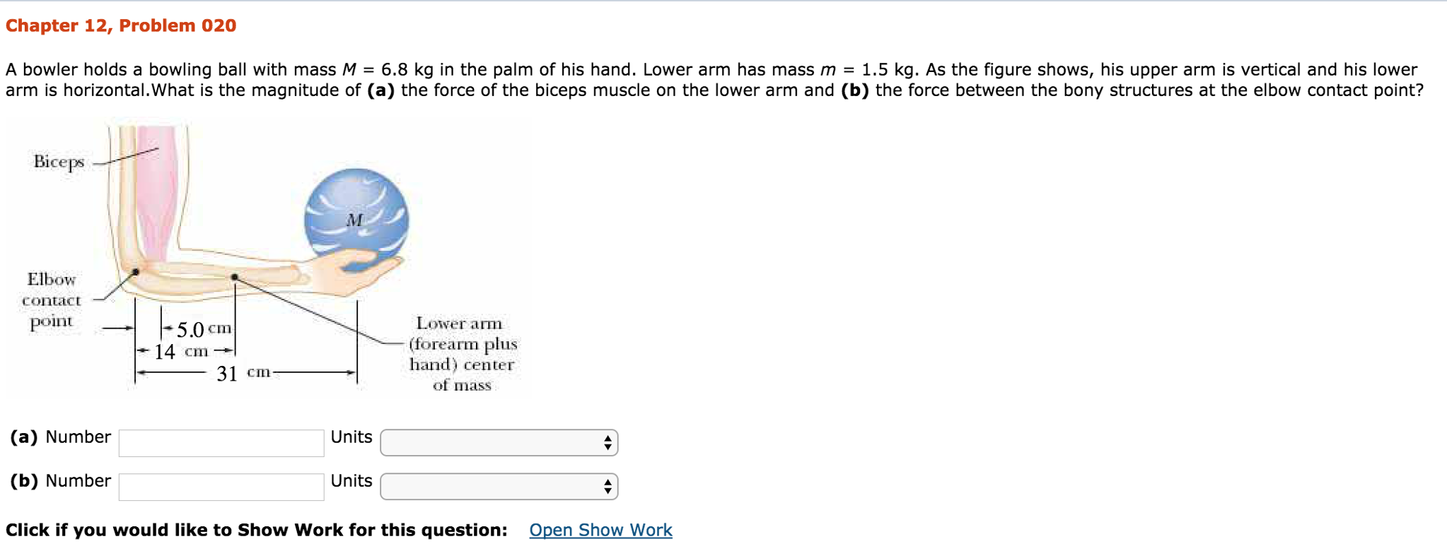 Solved A Bowler Holds A Bowling Ball With Mass M Kg In Chegg